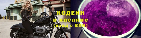 амф Гусев