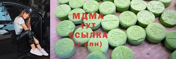 амф Гусев