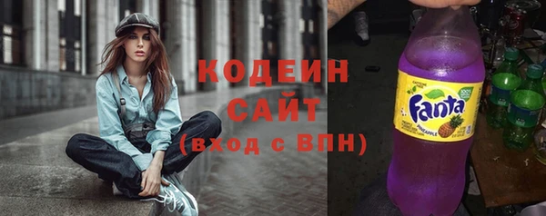 амф Гусев