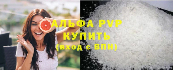 амф Гусев