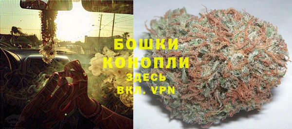 амф Гусев