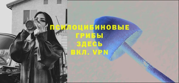 амф Гусев