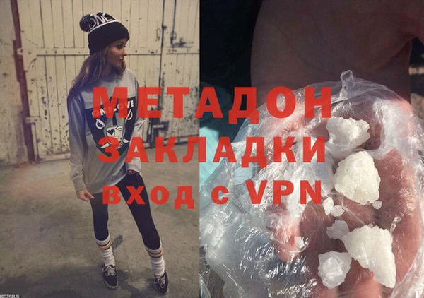 амф Гусев