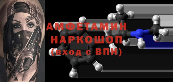 амф Гусев