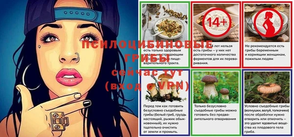 трава Гусь-Хрустальный