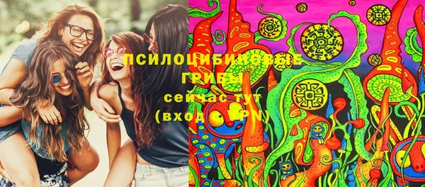 амф Гусев