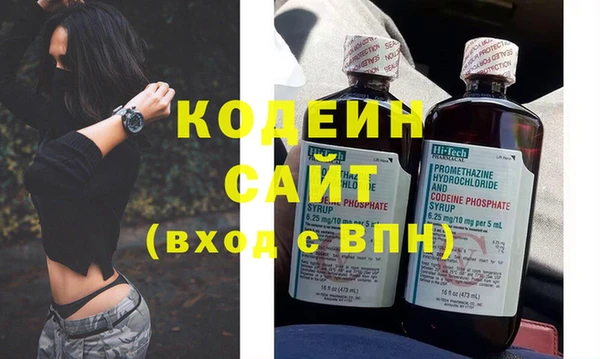 амф Гусев