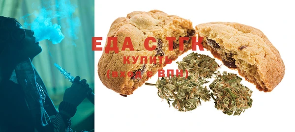амф Гусев